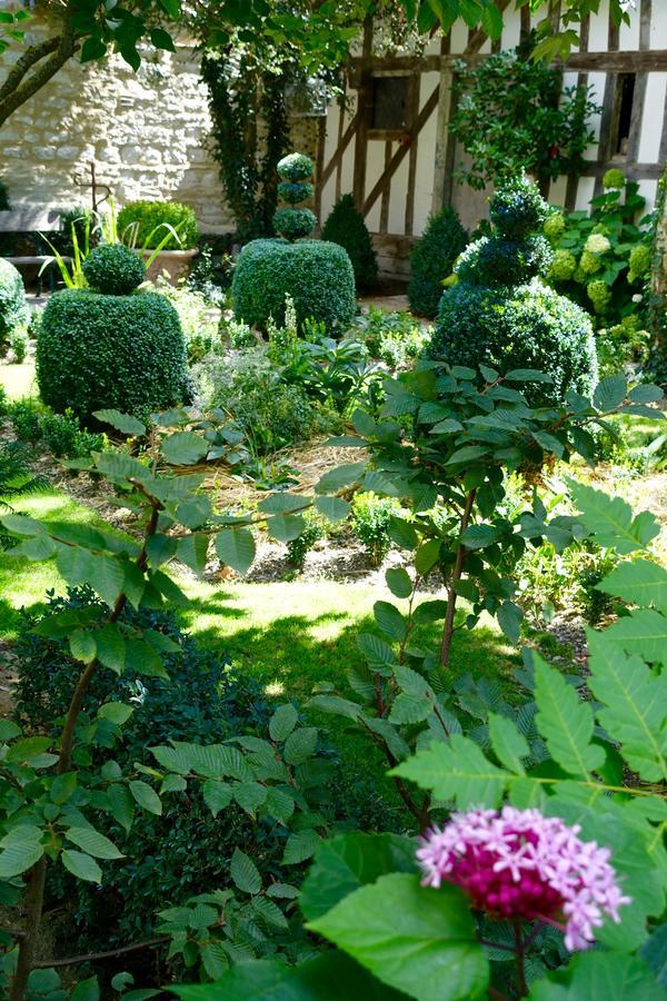 Le Jardin De La Cathedrale Acomodação com café da manhã Troyes Exterior foto